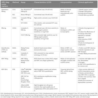 Current tests for diagnosis of hepatitis B virus infection and immune responses of HBV-related HCC